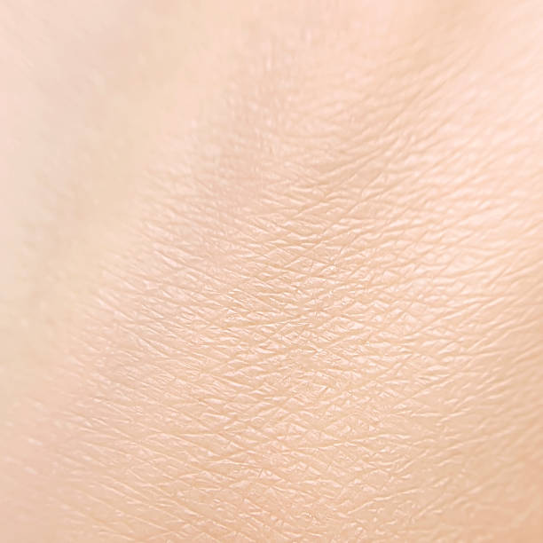 istock The surface of hand skin close up 2154121230