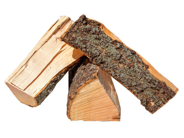 istock Freshly Cut Firewood Logs Piled Together On White Background In Daylight 2154121839