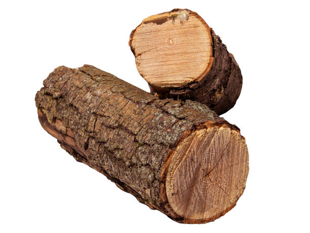 istock Freshly Cut Firewood Logs Piled Together On White Background In Daylight 2154121845