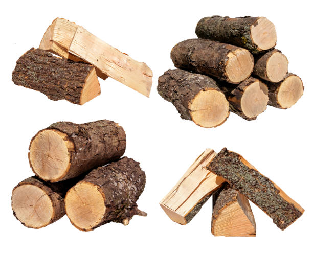 istock Freshly Cut Firewood Logs Piled Together On White Background In Daylight 2154121906