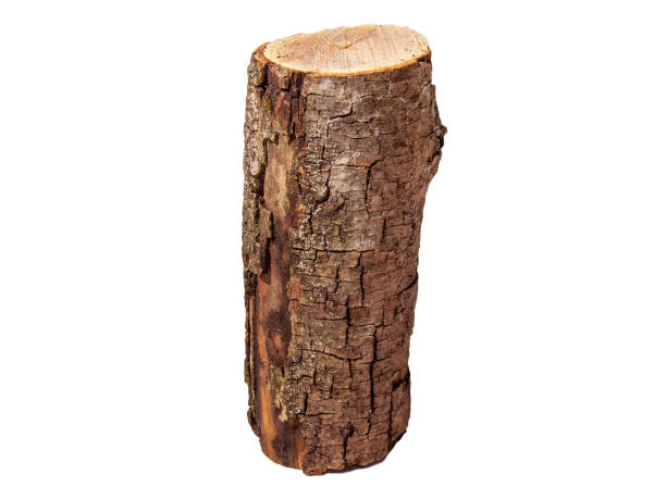 istock Freshly Cut Firewood Logs Piled Together On White Background In Daylight 2154122388