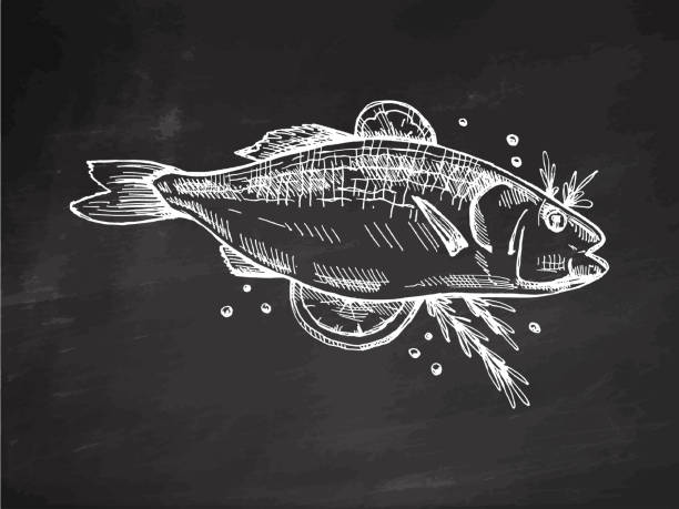 istock Hand-drawn monochrome vector sketch of barbecue fish. Doodle vintage illustration on chalkboard background. Decorations for the menu of cafes and labels. 2154122509