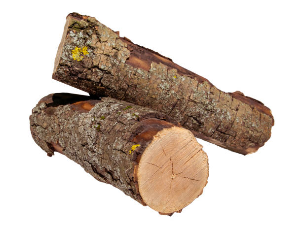 istock Freshly Cut Firewood Logs Piled Together On White Background In Daylight 2154122553