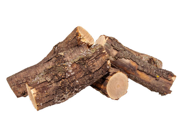 istock Freshly Cut Firewood Logs Piled Together On White Background In Daylight 2154123147
