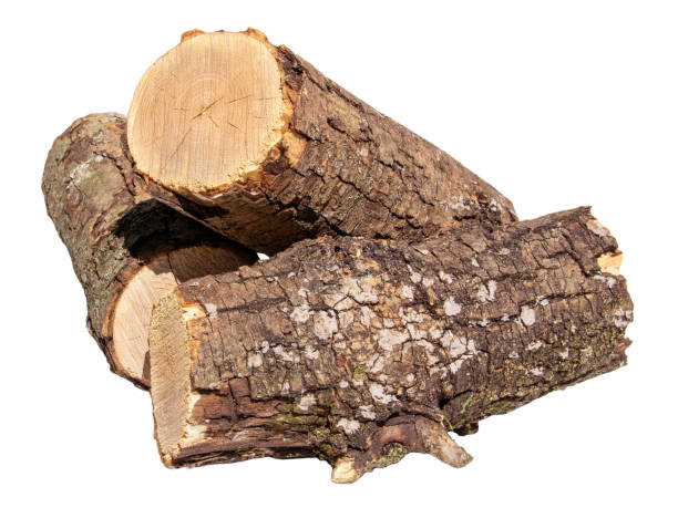 istock Freshly Cut Firewood Logs Piled Together On White Background In Daylight 2154123223