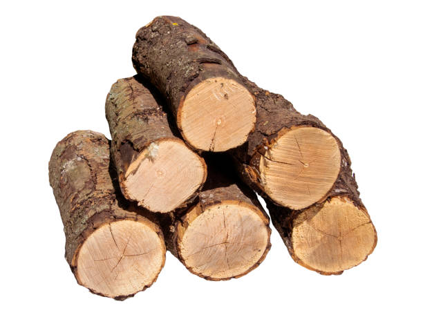 istock Freshly Cut Firewood Logs Piled Together On White Background In Daylight 2154123232