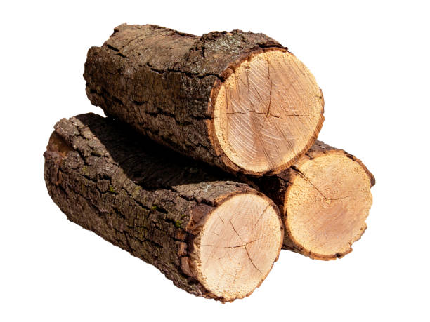 istock Freshly Cut Firewood Logs Piled Together On White Background In Daylight 2154123241