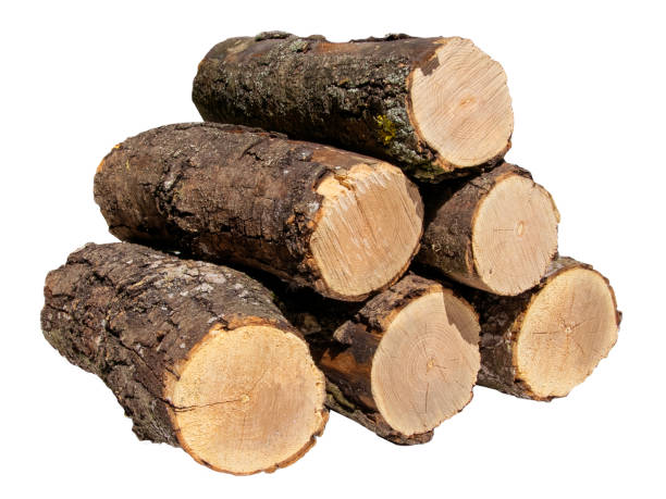 istock Freshly Cut Firewood Logs Piled Together On White Background In Daylight 2154123278