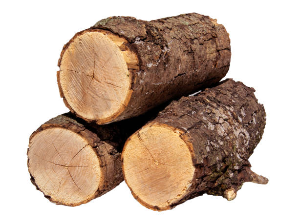 istock Freshly Cut Firewood Logs Piled Together On White Background In Daylight 2154123282