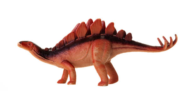 istock Realistic plastic model of a Stegosaurus dinosaur on white background. 2154126522