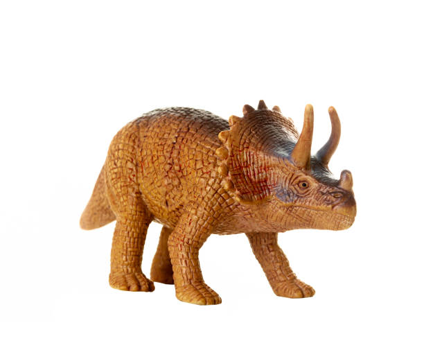 istock Detailed triceratops figurine isolated on a white background with visible textures 2154126689