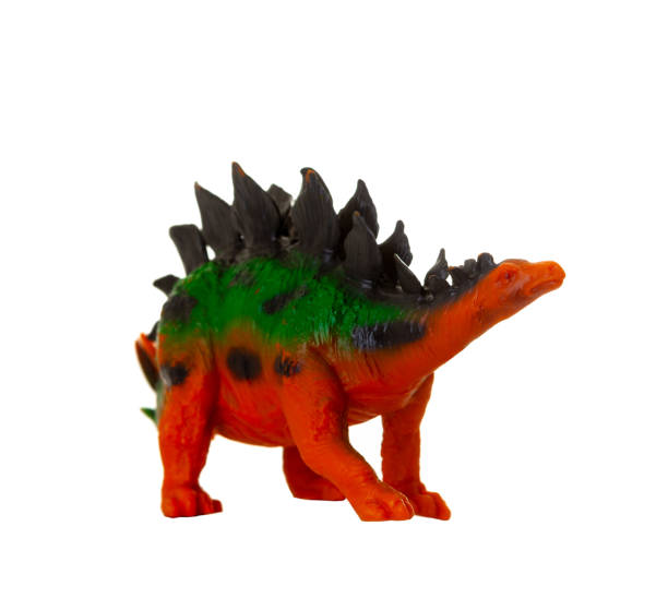 istock Realistic plastic model of a Stegosaurus dinosaur on white background. 2154126755
