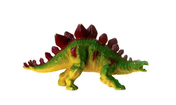 istock Realistic plastic model of a Stegosaurus dinosaur on white background. 2154126805