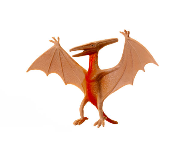 istock Plastic model of a pterosaur, a flying dinosaur, showcased against a clean white background 2154126928
