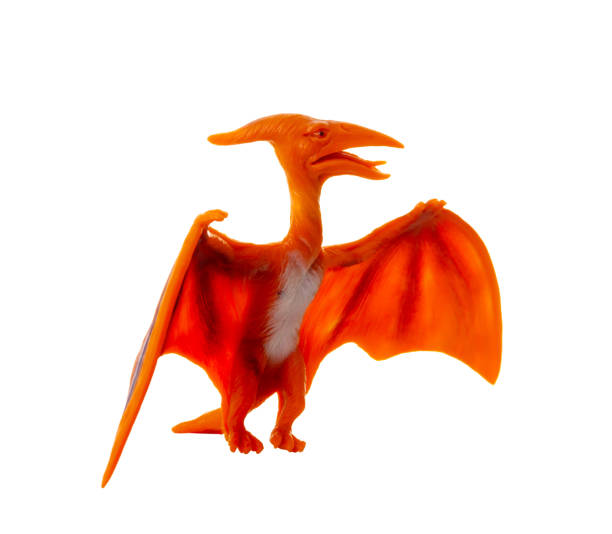 istock Plastic model of a pterosaur, a flying dinosaur, showcased against a clean white background 2154126984