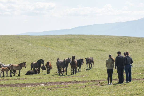 istock A group of young people spend time in nature watching wild horses 2154129152
