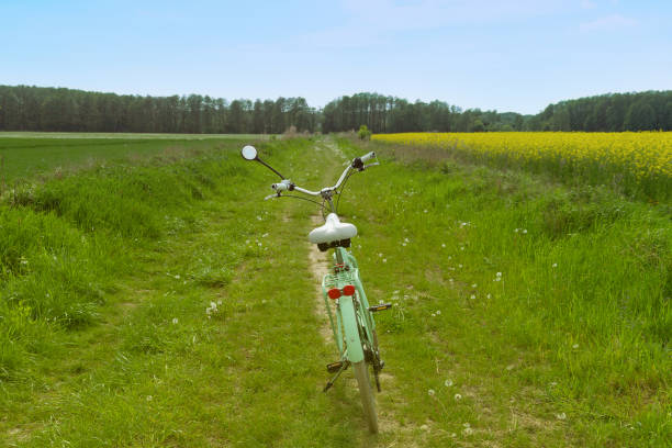 A woman's bicycle in the middle of a field. Rest at nature. Summer.