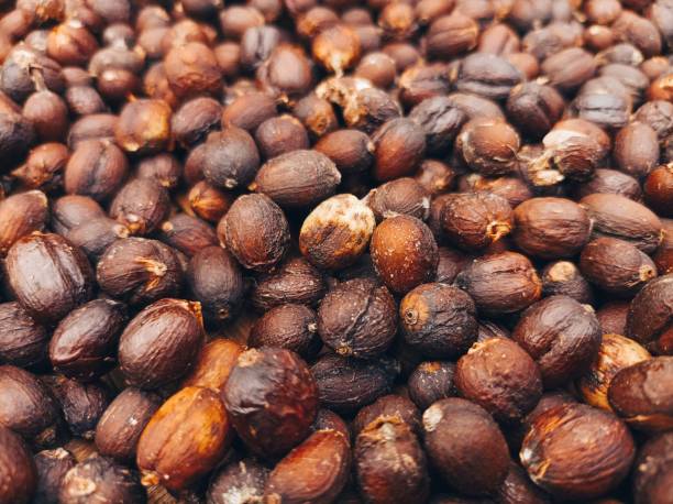 istock Arabica coffee beans from the Menoreh highlands 2154132155