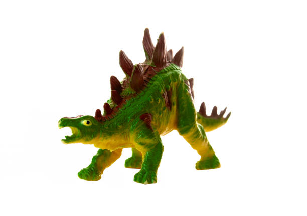 istock Realistic plastic model of a Stegosaurus dinosaur on white background. 2154132782