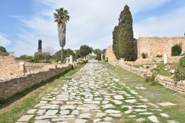 istock Wide Boulevard in Ancient Carthage Archaeological Park, Tunisia 2154133578