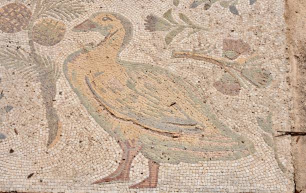 istock Ancient Roman Duck Mosaic at Carthage Archaeological Site 2154133615