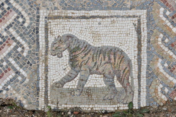 Mosaic fragment Roman Villa Romana del Casale, Sicily. UNESCO World Heritage Site. The first photographs after the discovery in April 2011.