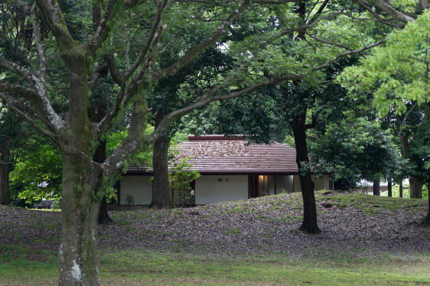 istock Fuji City Park, Japan 2154138578
