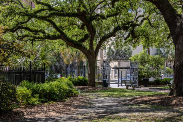 istock Charleston, South Carolina 2154143590