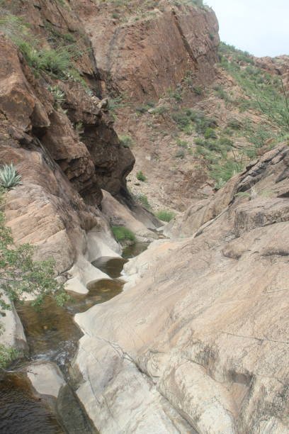 istock Water Features in Big Bend National Park 2154146727