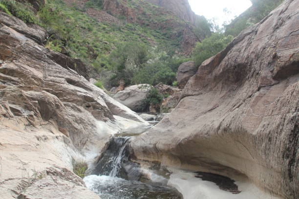 istock Water Features in Big Bend National Park 2154147006