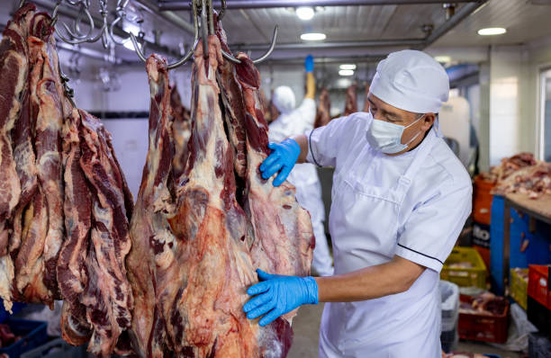istock Butcher working at the slaughter house sorting meat 2154154956