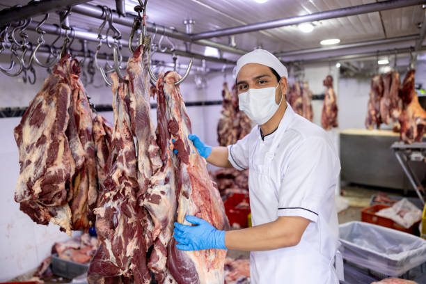 istock Butcher working at the slaughter house sorting meat 2154154987