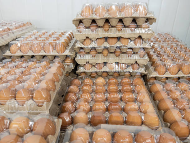 istock Closeup of the egg panels made from the paper. 2154161775