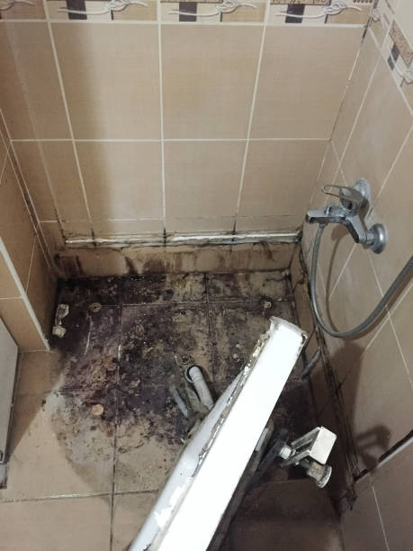 A man renovating a laundry room bathroom in an old house. He is removing the toilet. Real scenario. Photographed in North America.