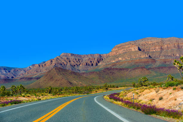 istock Desert Road Through Arizona's Majestic Terrain 2154166266