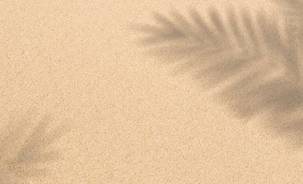 istock Sand texture background with palm leaves silhouette 2154167214