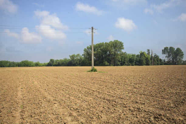 Pylons and a power line on a cultivated field with a forest in the distance in the italian countryside