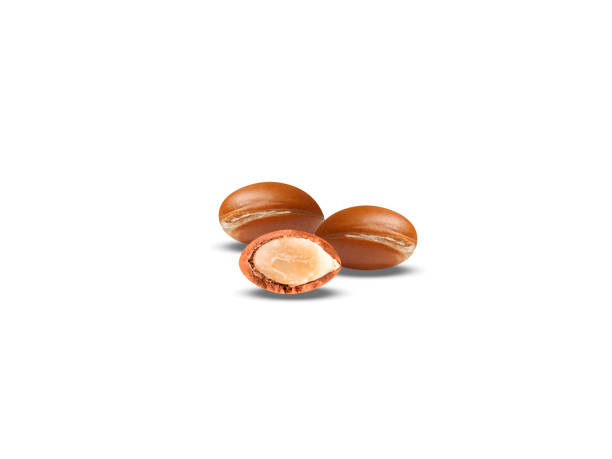 istock Sideroxylon spinosum or argan 2154172168