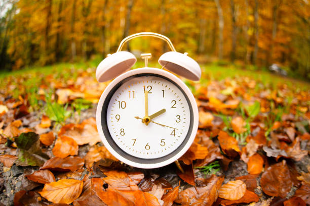 istock Alarm clock with autumn foliage, end of daylight saving time in fall, winter time changeover 2154180247