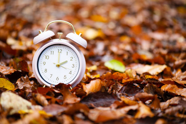 istock Alarm clock with autumn foliage, end of daylight saving time in fall, winter time changeover 2154181054