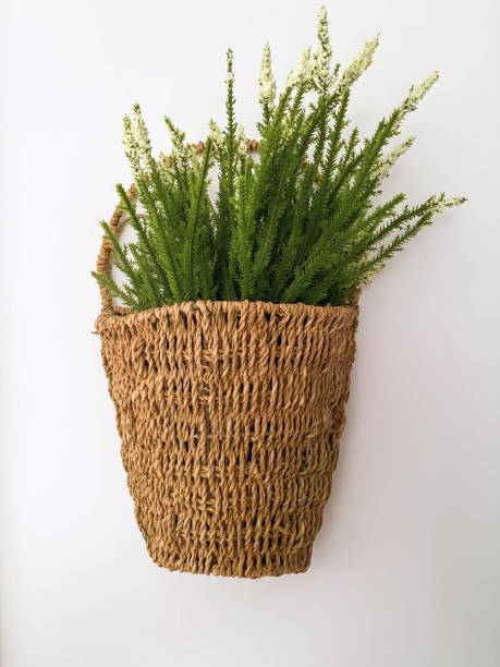 istock Home decor, interior decor, flowers in a woven basket on a white wall 2154181272