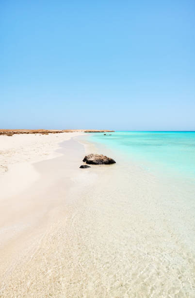 istock Beautiful sandy beach with turquoise water, Egypt. 2154182261