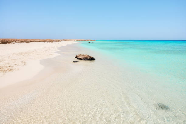 istock Beautiful sandy beach with turquoise water, Egypt. 2154182270