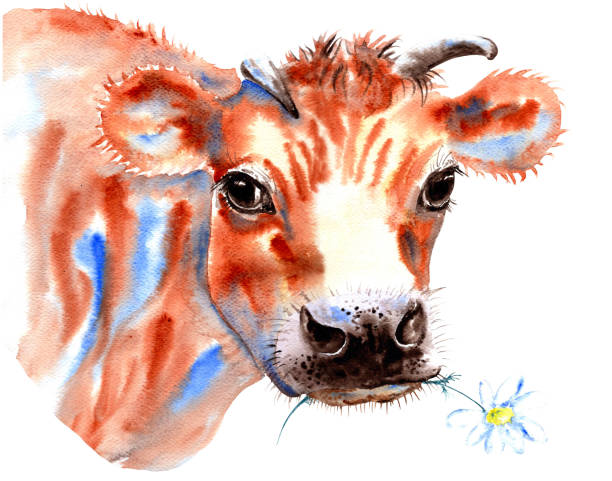 istock Watercolor Jersey Cow Painting Illustration 2154188653