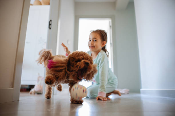 istock Little girl playing with dog at corridor 2154190024