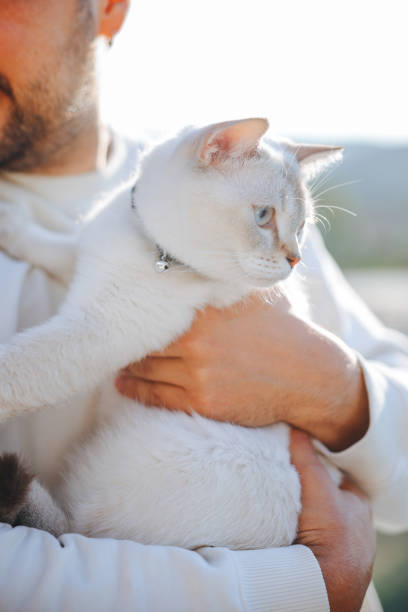 istock Overcoming mental health issues with pets 2154191326