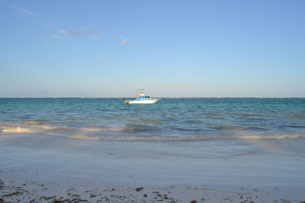Front view of a blue boat in the tropical lagoon under cloudy sky, Zanzibar, Indian Ocean, Africa