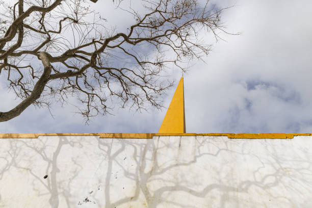 Shadows on a white stucco wall on Terceira Island, Azores.