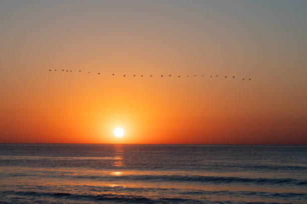 A Sunrise over the breaking waves of the Atlantic Ocean from the New Jersey Shore town of Avon By The Sea