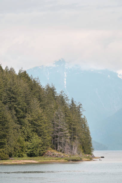 istock Grant Narrows Regional Park in Pitt Meadows, British Columbia 2154196169